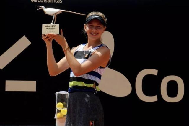 峰的良机 峰的良机